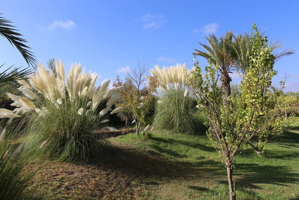Riad Al Mendili Private Resort & Spa Had Abdallah Rhiat Ngoại thất bức ảnh
