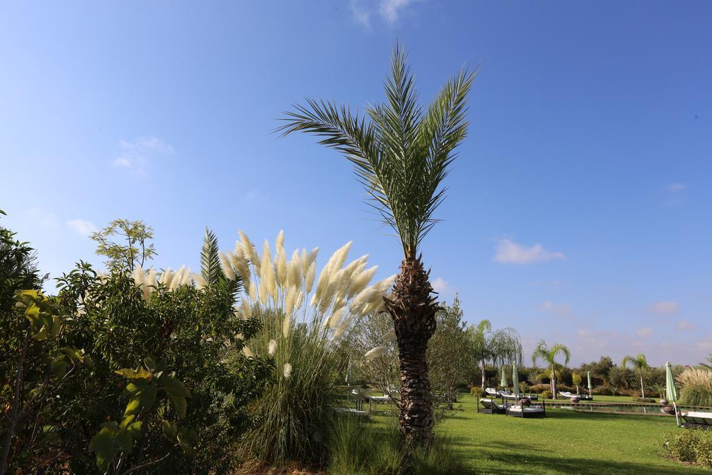 Riad Al Mendili Private Resort & Spa Had Abdallah Rhiat Ngoại thất bức ảnh