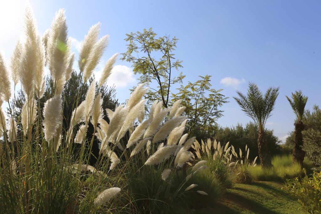 Riad Al Mendili Private Resort & Spa Had Abdallah Rhiat Ngoại thất bức ảnh