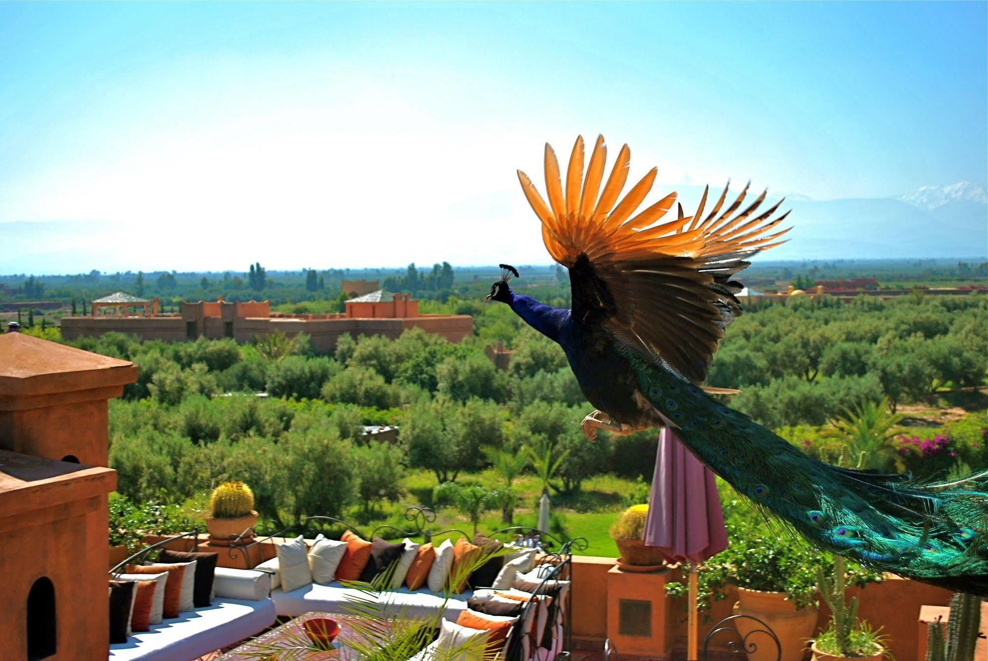 Riad Al Mendili Private Resort & Spa Had Abdallah Rhiat Ngoại thất bức ảnh